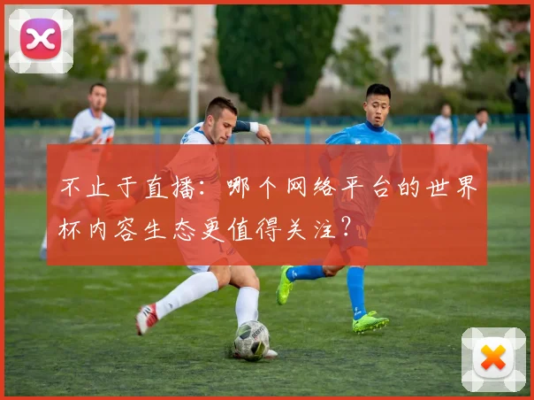 不止于直播：哪个网络平台的世界杯内容生态更值得关注？